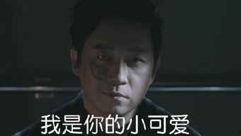 白夜追凶经典搞笑台词,笑料百出，警探兄弟的疯狂追凶之旅